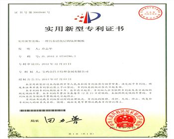 一種具有活化層的鈦陽(yáng)極板實(shí)用新型專利書